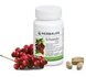 Schizandra Plus_5